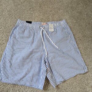 J. Crew Blue and White swim trunk